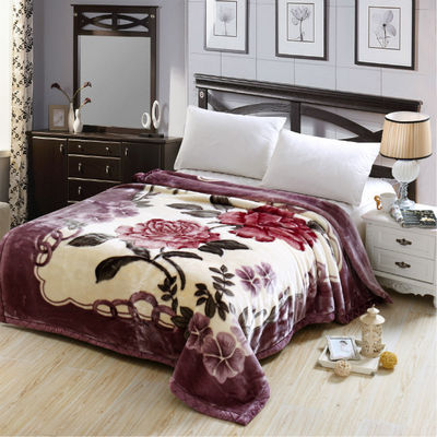 Calentamiento para todas las estaciones Doble grueso grueso grueso suave lana de peluche manta de cama de color sólido