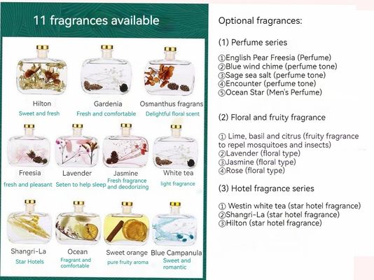 Inicio Oficina Fragancias Decoración Inodoro Desodorante Aroma sin fuego Viña de flores eternas