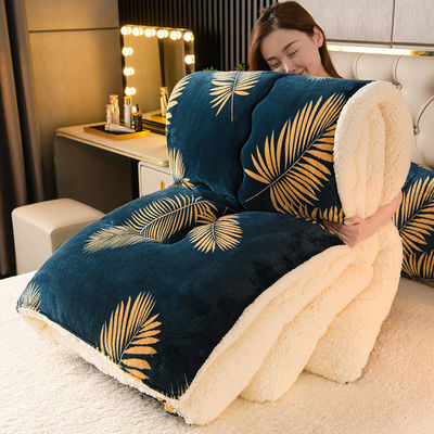 Set de ropa de cama de tamaño personalizado de lana de cordero cálida espesa con tejido de poliéster 100%
